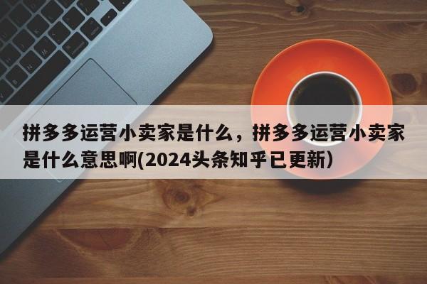 拼多多运营小卖家是什么，拼多多运营小卖家是什么意思啊(2024头条知乎已更新）