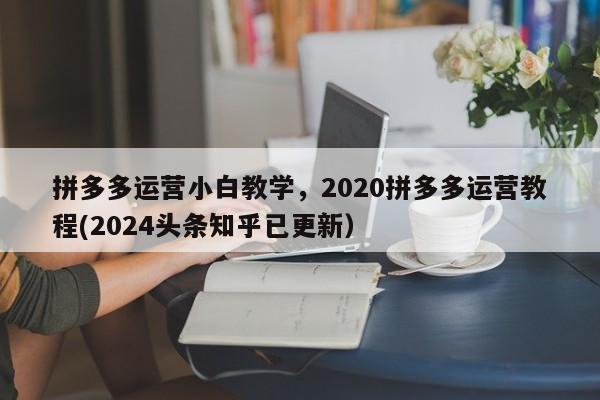 拼多多运营小白教学，2020拼多多运营教程(2024头条知乎已更新）