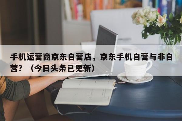 手机运营商京东自营店，京东手机自营与非自营？（今日头条已更新）