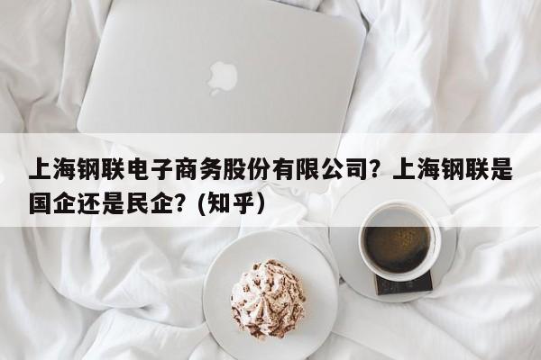上海钢联电子商务股份有限公司？上海钢联是国企还是民企？(知乎）